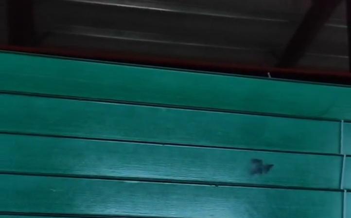 請(qǐng)問(wèn)電纜橋架的品牌哪個(gè)有前景？